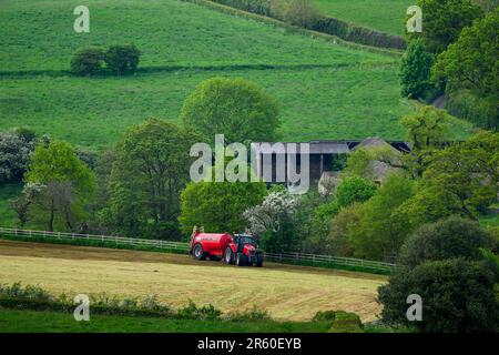 Landwirt arbeiten Fahren Traktor & zylindrischen Düngebehälter Sprühen Entleerungs Gülle auf Land Ackerland Weide Gras - Yorkshire, England Großbritannien Stockfoto