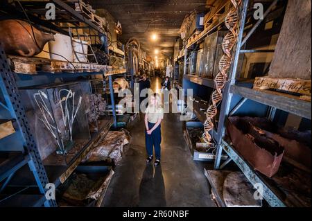 London, Großbritannien. 6. Juni 2023. Anselm Kiefer - Finnegans wachen im White Cube Bermondsey auf. Es ist der Höhepunkt einer Trilogie von Ausstellungen, die Kiefer für die Galerie gemacht hat. Neue Gemälde, Skulpturen und Installationen verwandeln die Galerien in ein Zeugnis der langjährigen Faszination des Künstlers mit James Joyces literarischem Meisterwerk, Finnegans Wake (1939). Kredit: Guy Bell/Alamy Live News Stockfoto