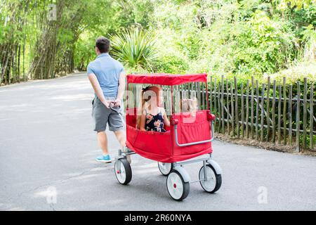 Dad zieht Kinder in einem roten Wagen im Zoo. Ein Familienspaziergang Stockfoto