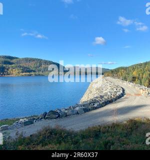 Eine malerische Schotterstraße, die sich durch eine üppige Landschaft mit Bäumen und einem glitzernden Bach schlängelt Stockfoto