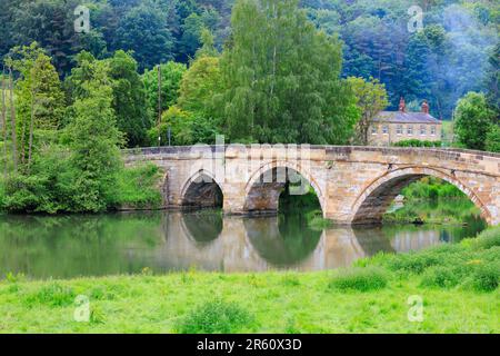 Mittelalterliche Steinbogenbrücke über den Fluss Derwent in der Kirkham Priory Abbey. North Yorkshire, England Stockfoto