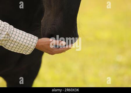 Nahaufnahme der Hand einer Frau, die einen Maulkorb berührt Stockfoto