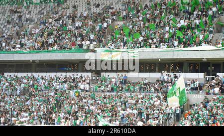 Stockholm, Schweden. 06. Juni 2023. Stockholm, Schweden, Juni 6. 2023: Hammarby-Fans vor dem schwedischen Cup-Finale am 6. 2023. Juni zwischen Hammarby IF und BK Hacken in der Tele2 Arena in Stockholm, Schweden (Peter Sonander/SPP) Guthaben: SPP Sport Press Photo. Alamy Live News Stockfoto