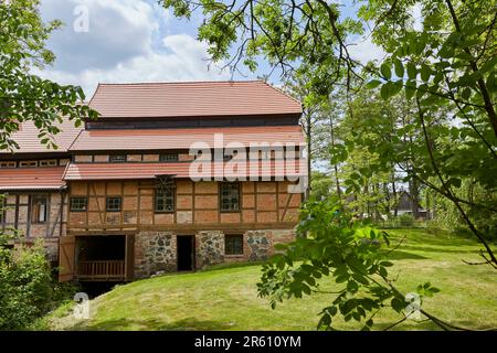 Wassermühle in Hanshagen, Mühlentag, Museum, Ausstellung, Mecklenburg-Vorpommern, Deutschland, Europa Stockfoto