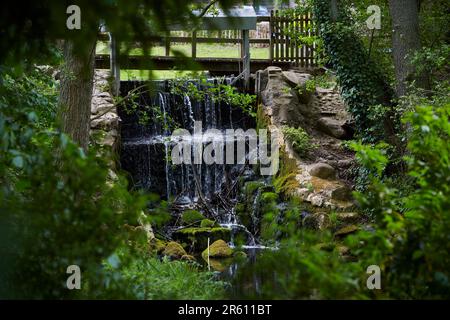 Wassermühle in Hanshagen, Mühlentag, Museum, Ausstellung, Mecklenburg-Vorpommern, Deutschland, Europa Stockfoto