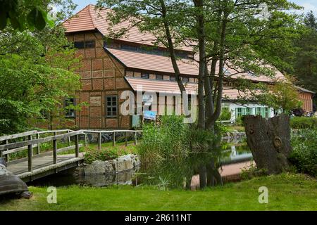 Wassermühle in Hanshagen, Mühlentag, Museum, Ausstellung, Mecklenburg-Vorpommern, Deutschland, Europa Stockfoto