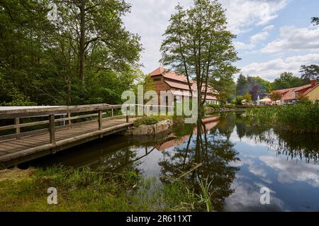 Wassermühle in Hanshagen, Mühlentag, Museum, Ausstellung, Mecklenburg-Vorpommern, Deutschland, Europa Stockfoto