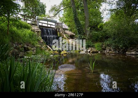 Wassermühle in Hanshagen, Mühlentag, Museum, Ausstellung, Mecklenburg-Vorpommern, Deutschland, Europa Stockfoto