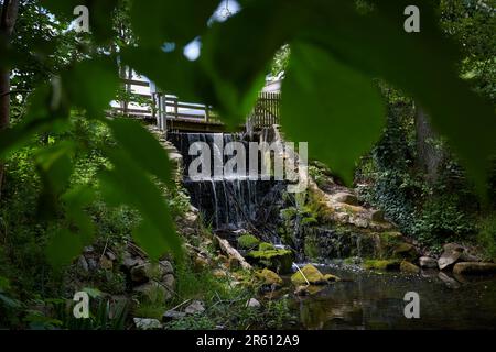 Wassermühle in Hanshagen, Mühlentag, Museum, Ausstellung, Mecklenburg-Vorpommern, Deutschland, Europa Stockfoto