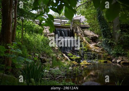 Wassermühle in Hanshagen, Mühlentag, Museum, Ausstellung, Mecklenburg-Vorpommern, Deutschland, Europa Stockfoto