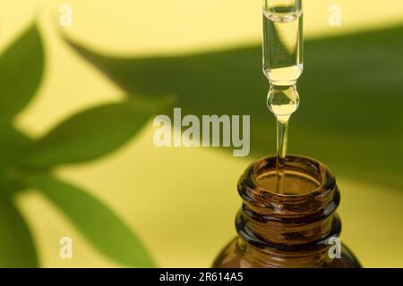 Ein Tropfen Rohmaterial fließt aus einer medizinischen Pipette. Ein kosmetischer Tropfer, aus dem Flüssigkeit tropft. Auf blauen Hintergrund fallen lassen. Speicherplatz kopieren Stockfoto
