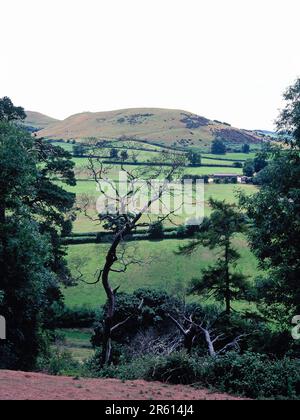 England. Somerset. Südlich Von Cadbury. Blick auf die ländliche Landschaft vom Cadbury Castle Mound. Stockfoto