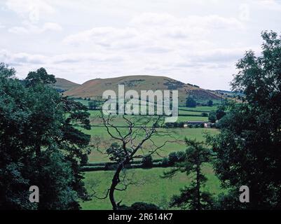 England. Somerset. Südlich Von Cadbury. Blick auf die ländliche Landschaft vom Cadbury Castle Mound. Stockfoto