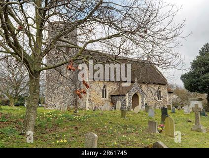 St. Edmund's Fritton in der Nähe von Great Yarmouth, eine normannische, runde, strohgedeckte Kirche mit Apse, Chancel und einem Schiff aus dem 14. Jahrhundert. Stockfoto