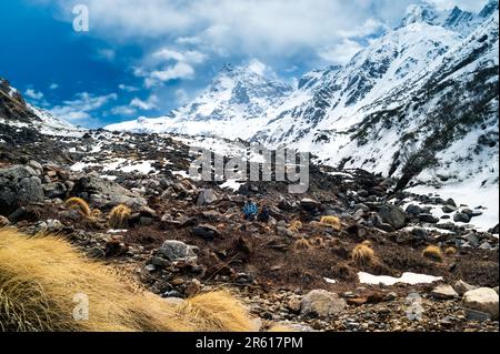 Landschaft mit Schnee. Berglandschaft mit Wildblumen vorne. Lahul Valley, Chatru, Himachal pradesh, Indien. Stockfoto