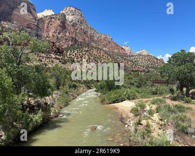 Ein Virgin River, der sich durch den Zion Canyon im Zion Valley schlängelt Stockfoto