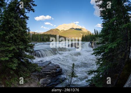 Athabasca Falls im Jasper National Park Kanada Stockfoto