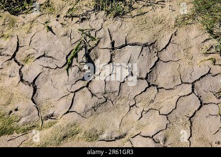 Nahaufnahme eines Gebiets mit getrocknetem Schlamm an den Salzmarschen in Leigh-on-Sea, Essex, Großbritannien. Stockfoto