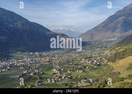 Überblick über das Dorf und die Weinberge von Tirol (Dorf Tirol), Südtirol, Italien Stockfoto