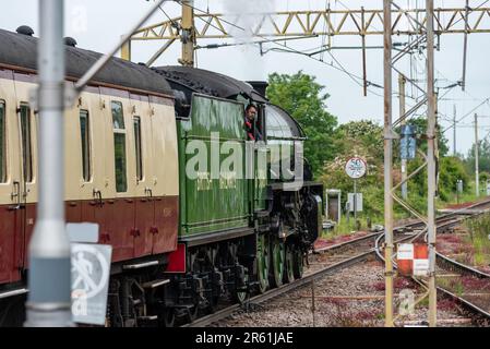 Dampflokomotive LNER B1 Klasse 61306 Mayflower mit einem Ausflug zu Steam Dreams, der von der Leigh on Sea Station abfährt Stockfoto