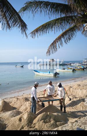 Blue Flag Arbeiter reinigen den Strand Sand in Puerto Morelos Yucatan Mexiko Stockfoto