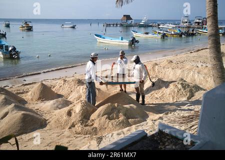 Blue Flag Arbeiter reinigen den Strand Sand in Puerto Morelos Yucatan Mexiko Stockfoto