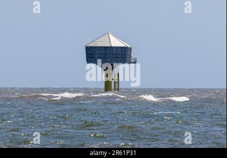 Dieses Bauwerk wurde direkt vor der Küste in Lowestoft errichtet, um den Kittiwakes, die durch die Renovierung von verdrängt werden, sichere Zuchtvorsprünge zu bieten Stockfoto