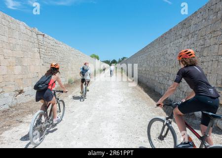 Radfahren auf dem Gebiet im Gefängnis der Insel Pianosa, Toskana, Italien Stockfoto