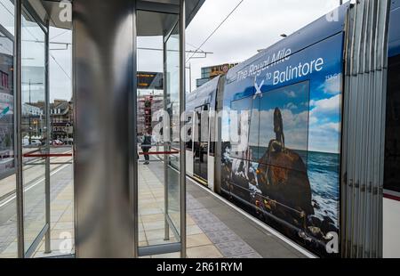 Straßenbahn an der Picardy Place Straßenbahnhaltestelle, Edinburgh Trams, Schottland, Großbritannien Stockfoto