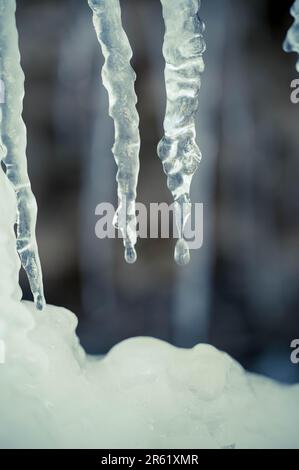 Eine weiße Schneedecke bedeckt den Boden, und Eiszapfen hängen am Rand eines Dachs Stockfoto