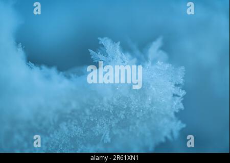 Nahaufnahme einer einzelnen Schneeflocke, die zerbrochen ist Stockfoto