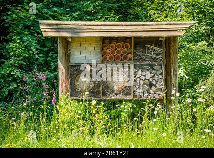 Holzinsektenhotel in der Frühlingswiese, ein Insektenhaus in einem Blumenfeld Stockfoto