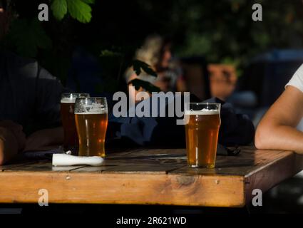 Eine junge Person, die neben einem Glas Bier an einem Restauranttisch sitzt Stockfoto