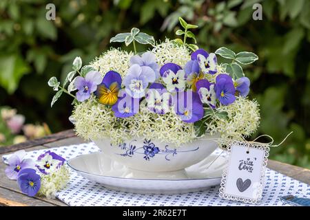 Ein Strauß aus blauen Violaflümchen und Blumen sibirischen Hundelholzes in einem Saucen-Boot Stockfoto