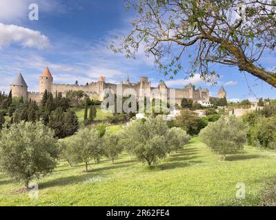 Die einzigartige mittelalterliche Festung Carcassonne ( Aude, Frankreich), die zum UNESCO-Weltkulturerbe gehört. Stockfoto