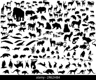 Große Sammlung von verschiedenen Illustration Vektor Tiere Stock Vektor