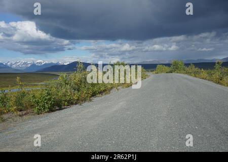 Die Weite der Landschaften. Grüne Ebenen, majestätische Bäume und entfernte Berge schaffen eine atemberaubende Kulisse für abgelegene, langsame Reisen und Träume von fernem Land Stockfoto