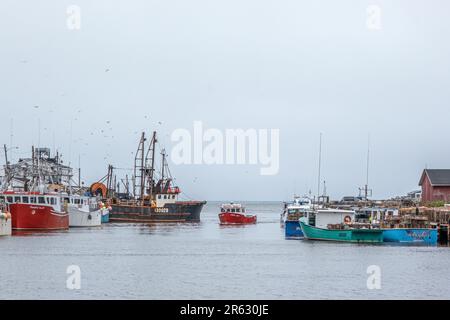 Ein kleines Hummerfischerboot fährt in Glace Bay Harbour vorbei an größeren Schiffen an einem düsteren Tag im nassen Frühling während der Hummersaison. Stockfoto