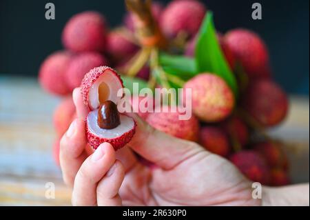 Frische, reife Lychee-Früchte tropische Früchte geschälte Litschis in Thailand, Litschis auf der Hand Stockfoto