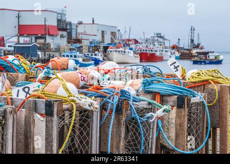 Hummerfallen werden am Kai in Glace Bay Nova Scotia aufgestellt und für den nächsten Lauf auf Boote geladen. Stockfoto