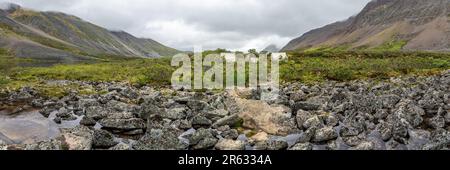 Im Spätsommer am Grizzly Lake bietet der Campingplatz im Tombstone Territorial Park eine unglaubliche Aussicht auf das Hinterland mit Campingplätzen und Wildnis Stockfoto