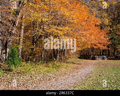 Ein malerischer Wanderweg, umgeben von Bäumen mit Herbstfarben und einem alten Zaun im Hintergrund. Stockfoto