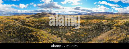 Panoramablick aus der Vogelperspektive auf die Straße, die im Herbst zur Haines Junction im Norden Kanadas führt, mit goldener, goldener, gelber Landschaft, Autobahn Stockfoto