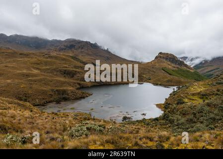 Cajas-Nationalpark mit Paramoökosystem, Cuenca, Ecuador. Stockfoto