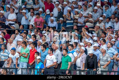 Eine Menge türkischer Männer sehen sich den Wettkampf von einer Tribüne beim Turnier zum türkischen Ölwrestling Kirkpinar in Edirne in Turkiye an. Stockfoto