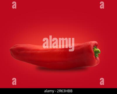 Ein organischer, spitzer Pfeffer auf rotem Hintergrund mit Platz für Text Stockfoto