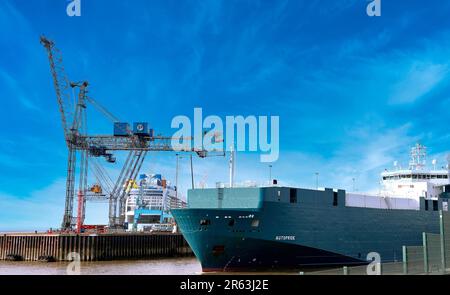 Im Hafen von Bremerhaven, mit der neuen Odyssee der Meere im Hintergrund, im Hafen von Bremerhaven Deutschland, im Hintergrunfen der neuen Odyssee Stockfoto