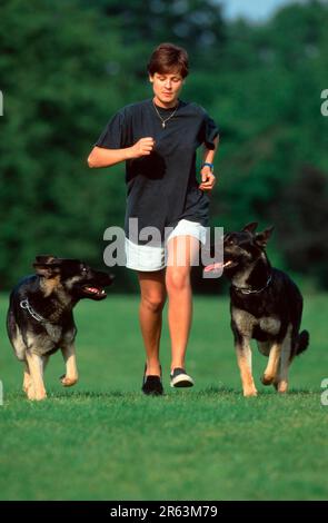 Junge Frau joggt mit deutschen Schäferhunden, deutscher Schäferhund Stockfoto