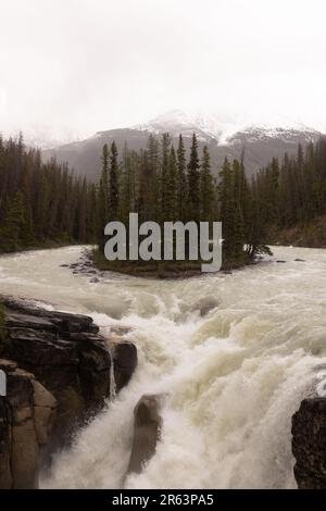 Die Wasserfälle von Sunwept in Alberta, Kanada Stockfoto