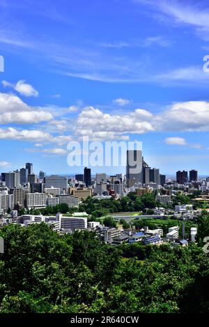 Blick auf die Stadt Sendai von den Burgruinen von Aoba Stockfoto